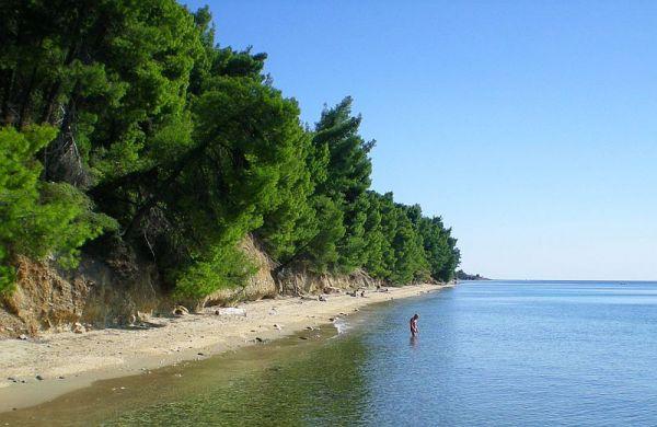 Ακτή Ελιάς